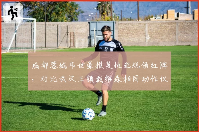 成都蓉城韦世豪报复性犯规领红牌，对比武汉三镇戴维森相同动作仅黄牌，纪律尺度双标