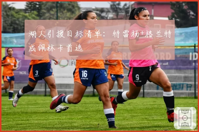 湖人引援目标清单:特雷杨+格兰特成佩林卡首选